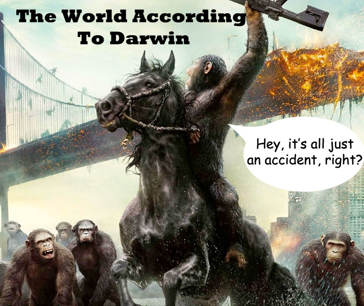 Darwin in action
